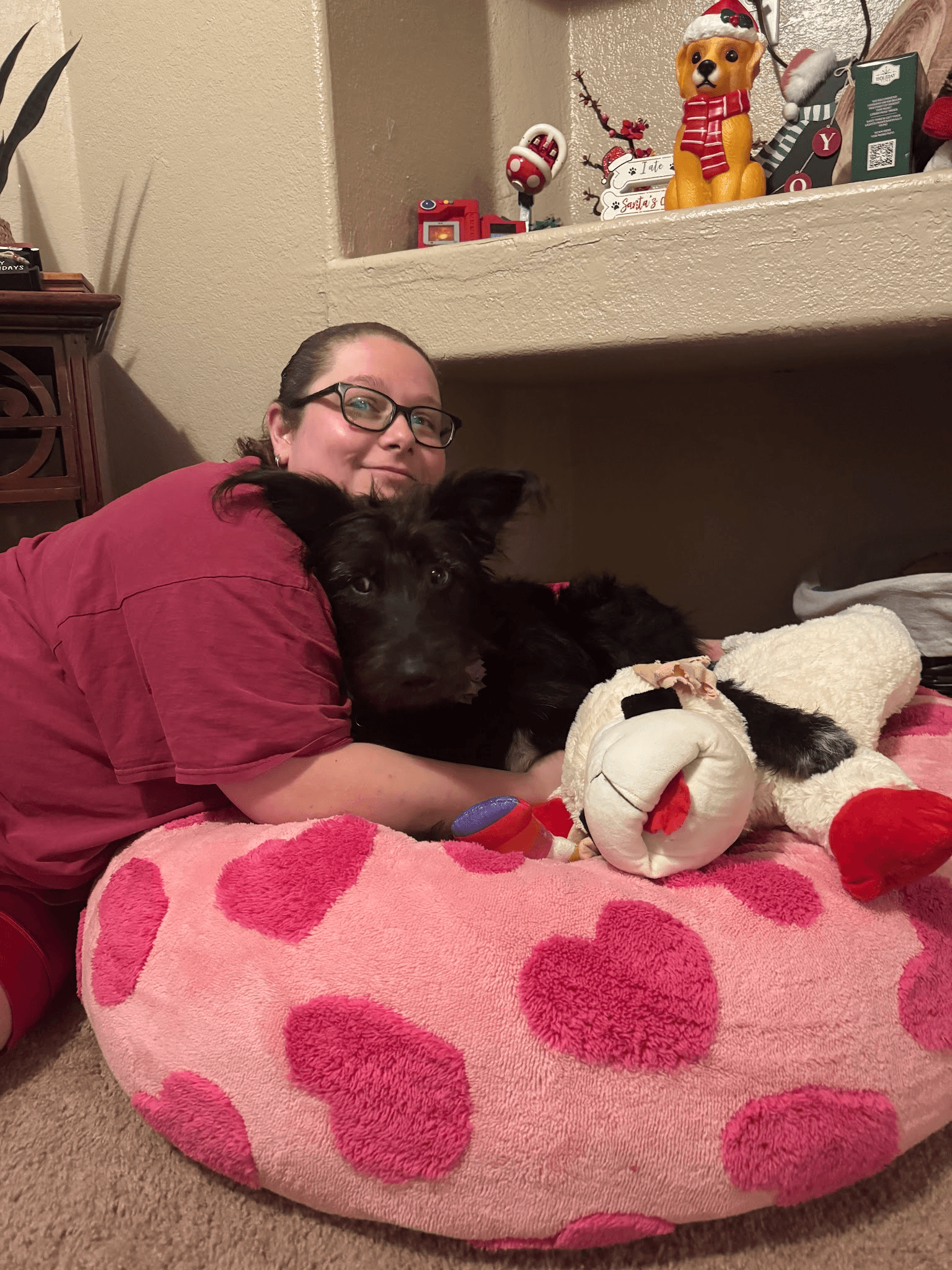 Leo, a Stray to Play foster