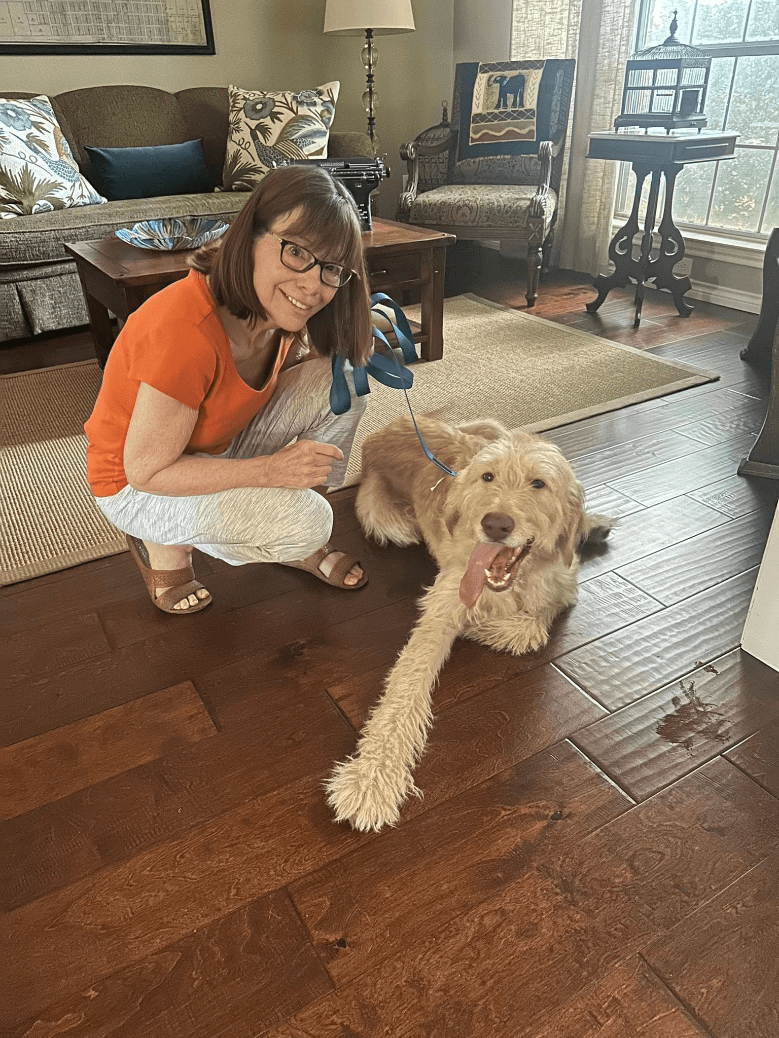 Vicki, a Stray to Play foster